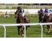  Carrera: P.AEGRI Monta: Sr.Lezama A. Caballo: Spanish Ruler